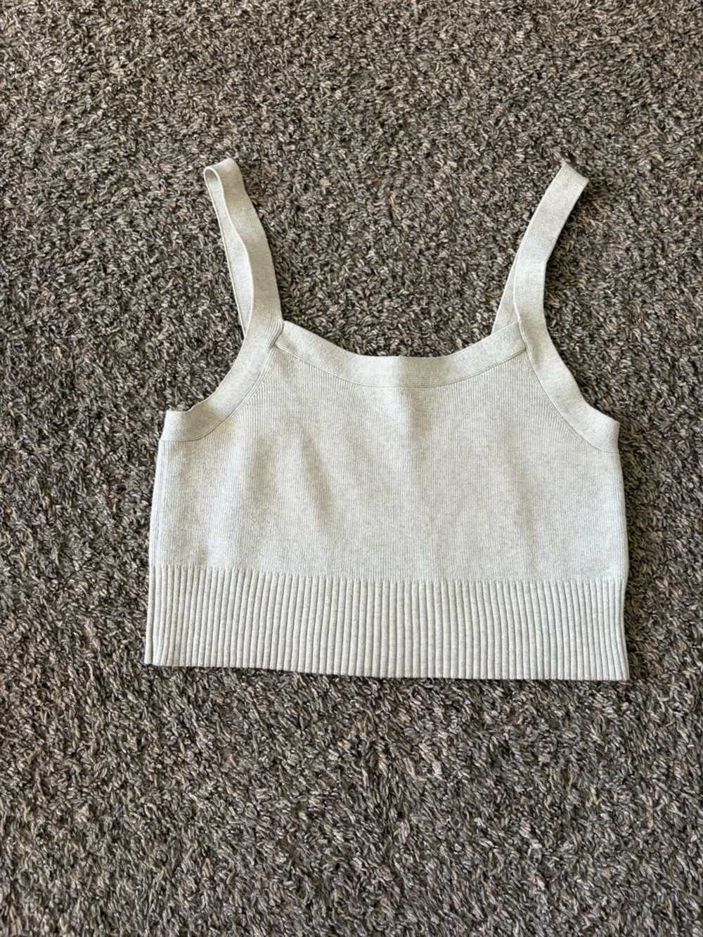 Everlane Ribbed Knit Tank in Light Beige